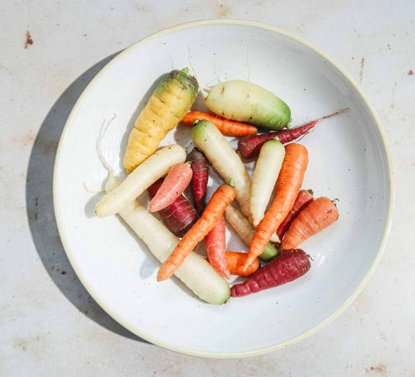 Assorted carrots on a plate